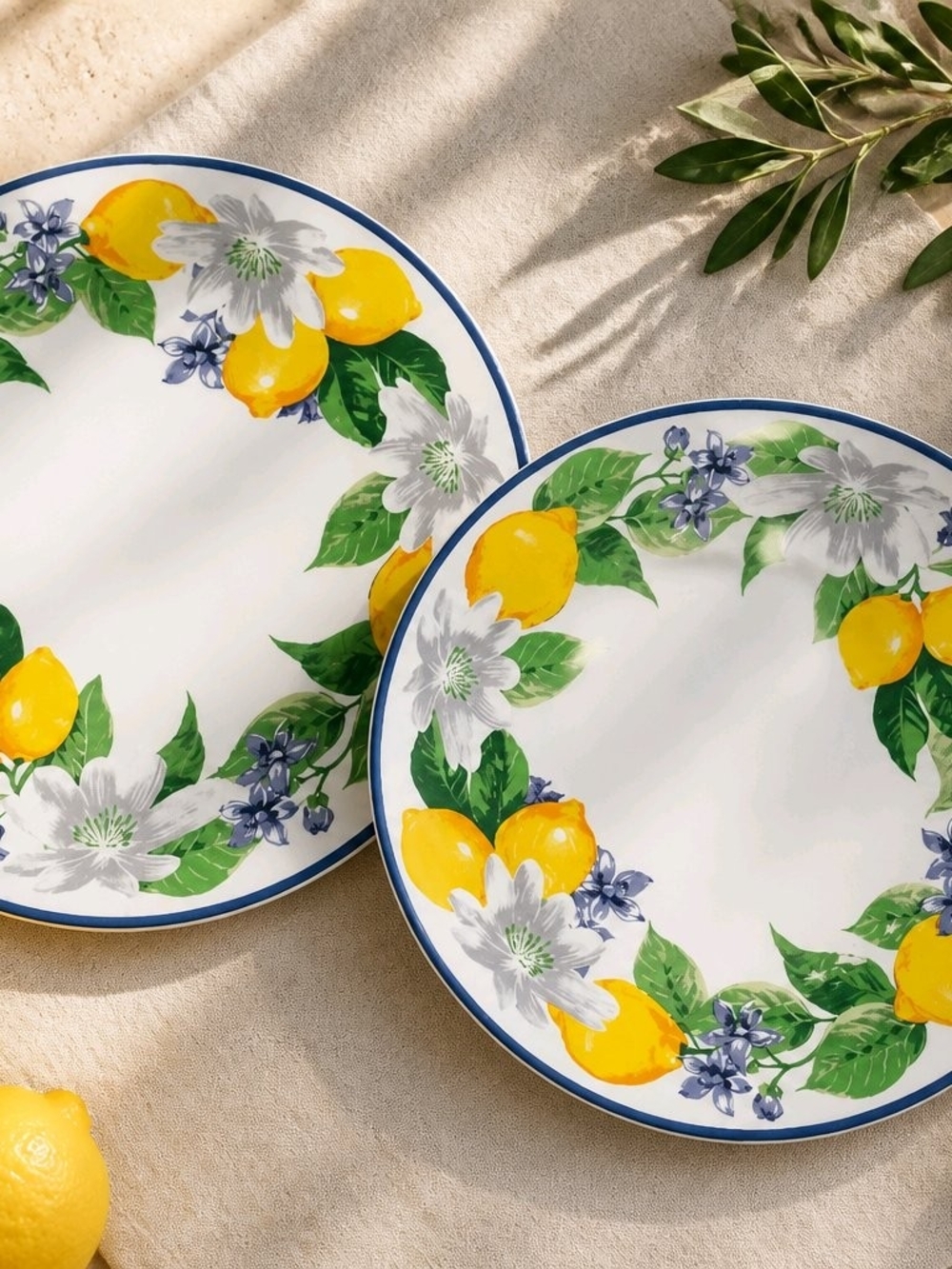 2 VTG Discont'd 90s Royal Norfolk Lemon Floral 10.5 Inch Ceramic Dinner Plates
